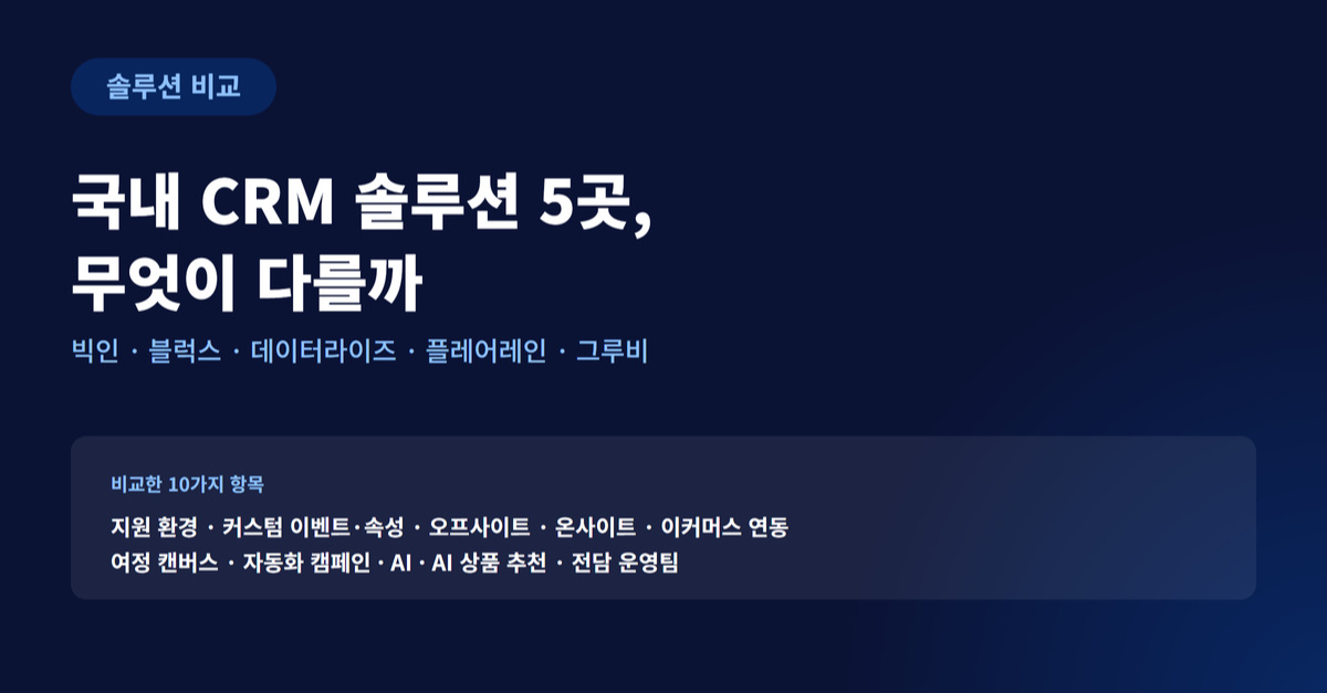 국내 CRM 마케팅 솔루션 빅인, 블럭스, 데이터라이즈, 플레어레인, 그루비 여섯 곳을 10가지 항목으로 비교한 표지 이미지