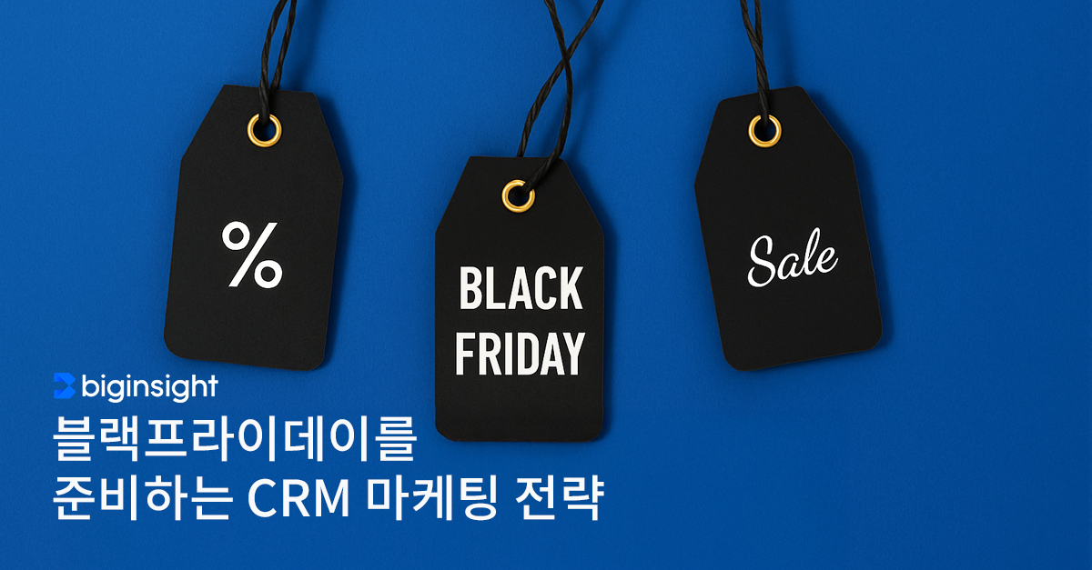 데이터로 완성하는 블프 CRM 전략 : 세그먼트별 블프 운영 가이드